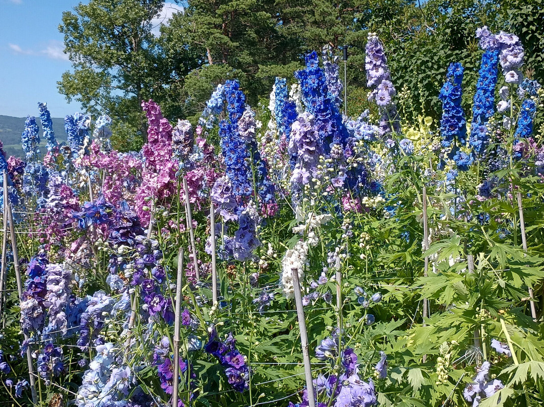 Les Jardins De Quatre Vents-拉马尔拜必去景点