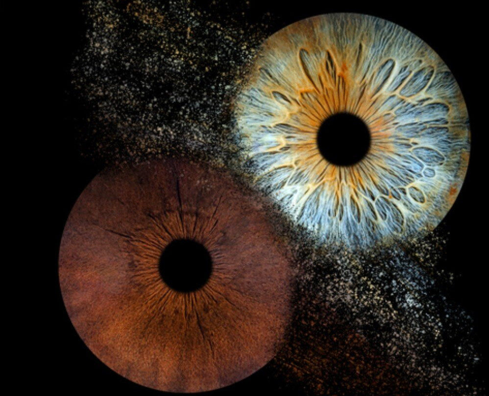 Iris Galerie Groningen-格罗宁根省必去景点