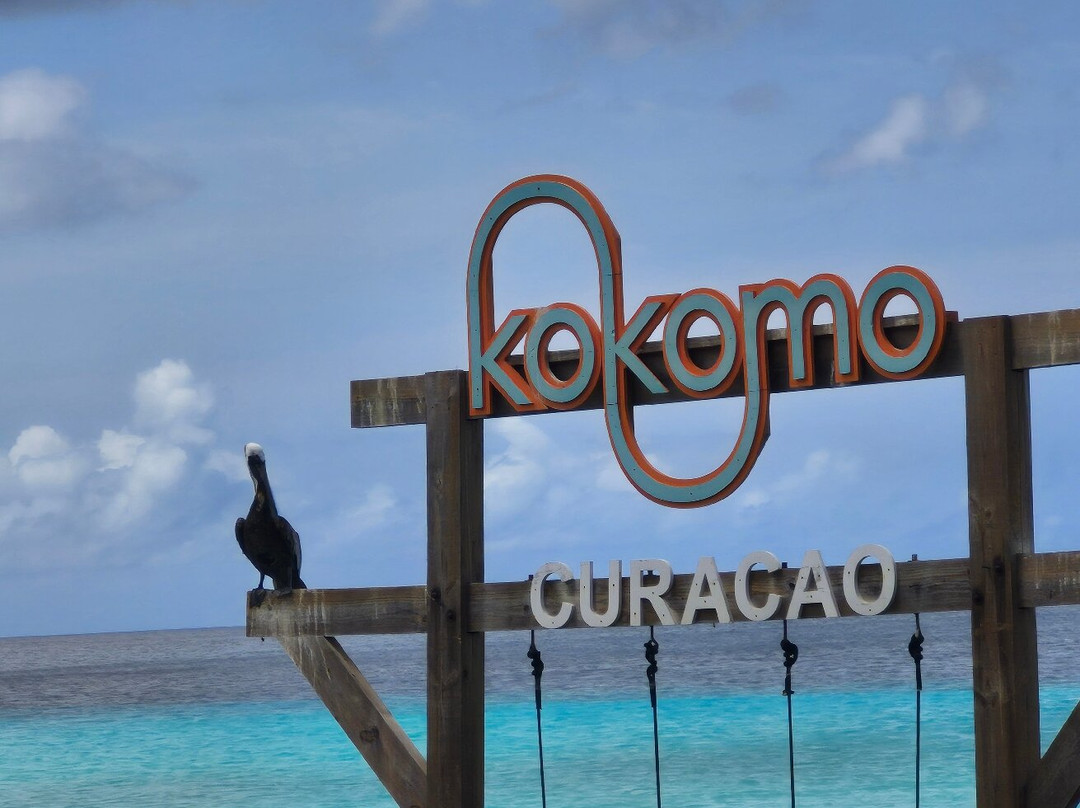 Kokomo Beach-威廉斯塔德必去景点