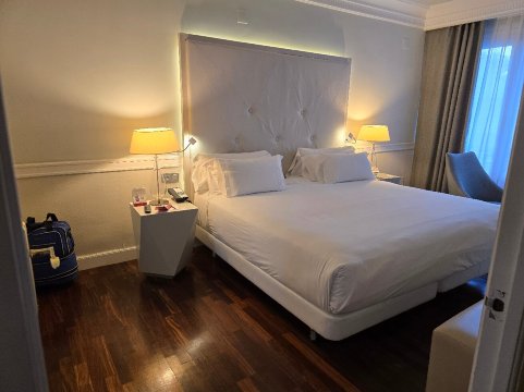 萨拉戈萨NH精选大酒店-官方