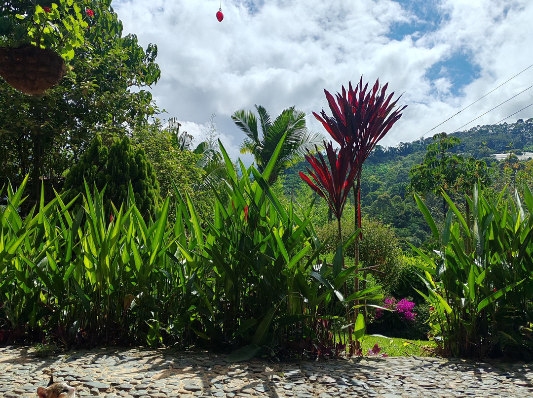 La Tángara Hostal Rural主图