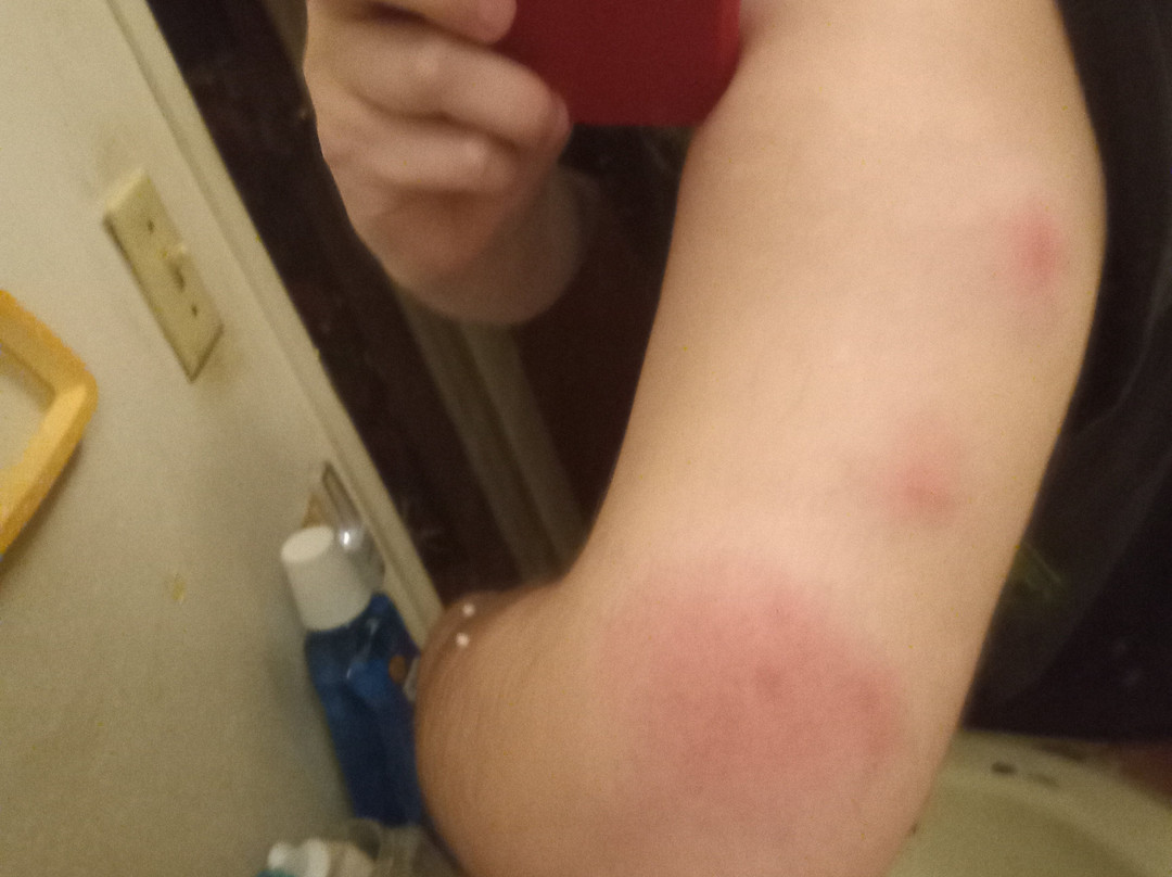 黄金斯特里科娱乐场酒店主图