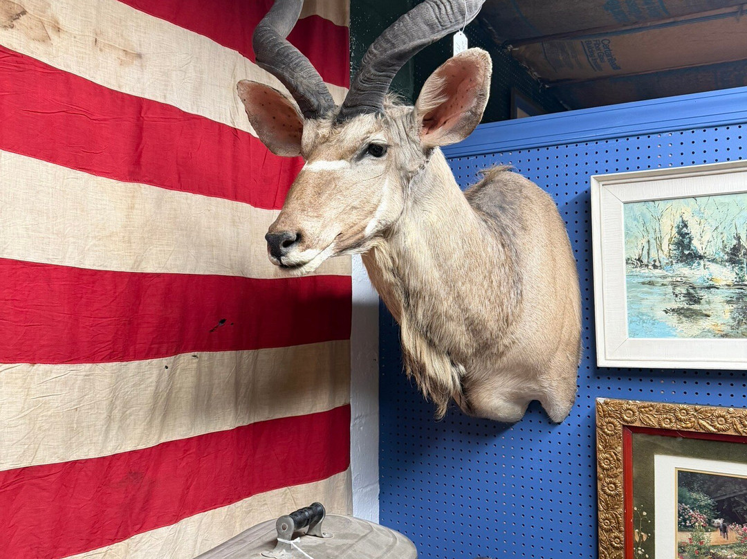 New Oxford Antique Center-New Oxford必去景点