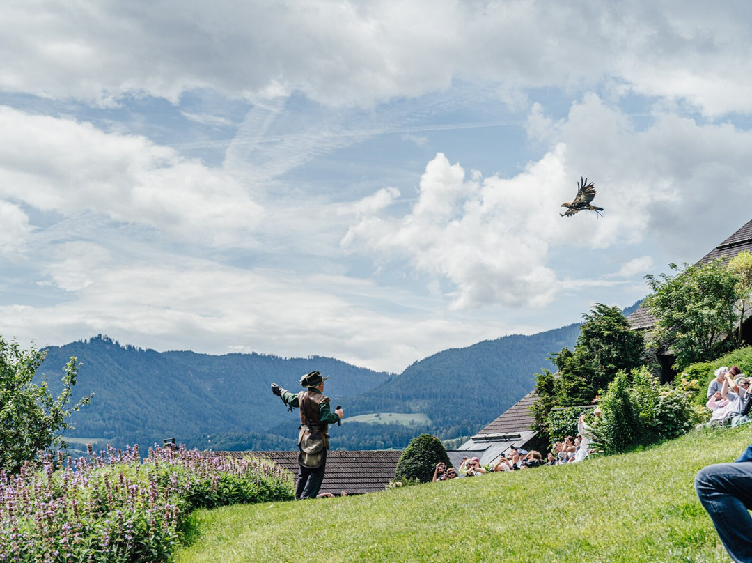 Fortress Hohenwerfen-维尔芬必去景点