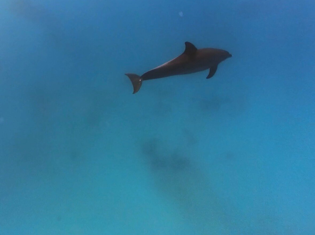 Erlebnis Ägypten-Safaga必去景点