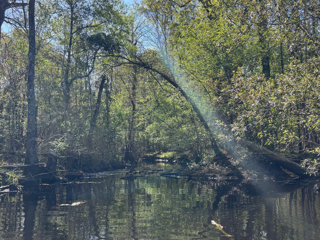 The Swamp Park-Ocean Isle Beach必去景点