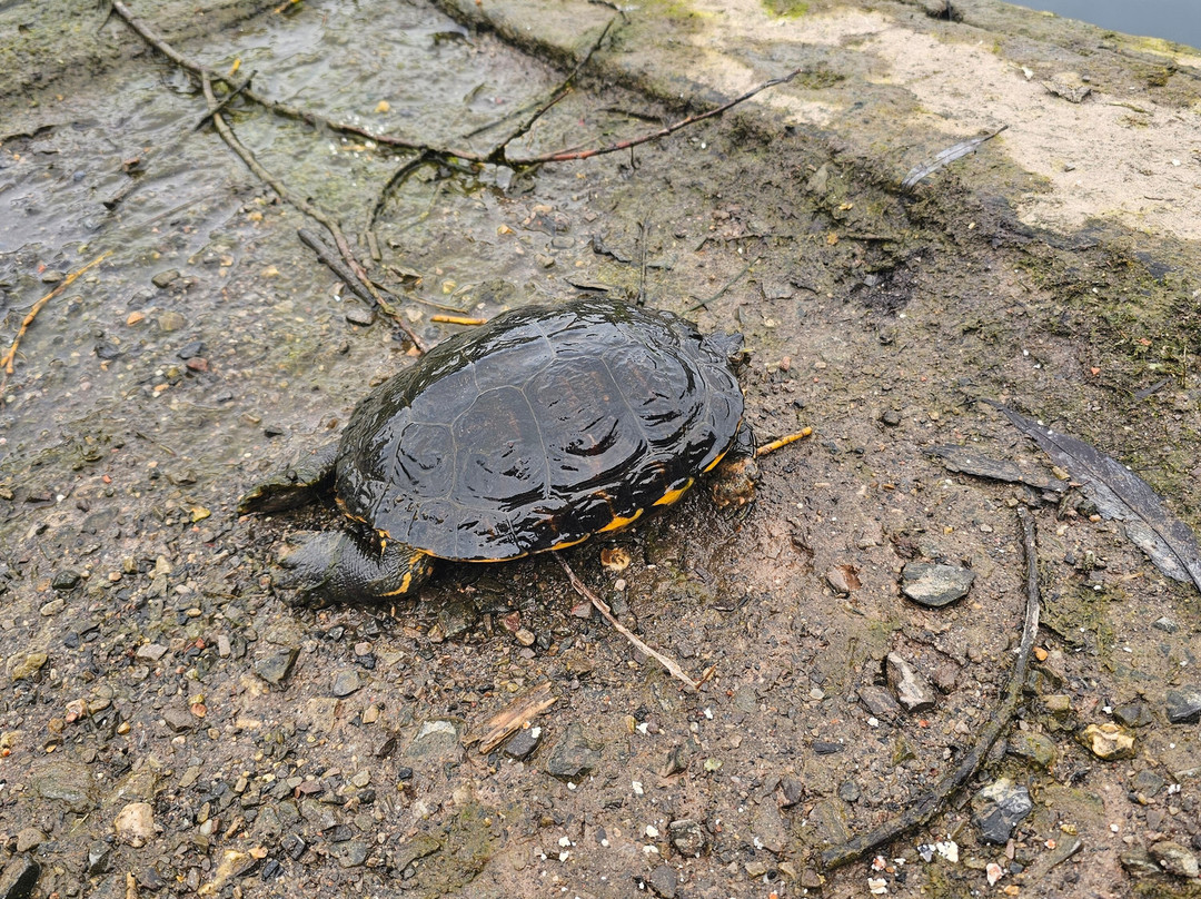 Fort Brockhurst-普兹茅斯必去景点