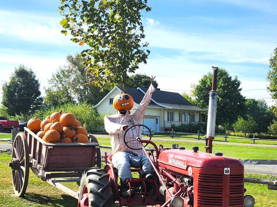 Ferme Roberge & Gosselin-Saint-Pierre-de-l'lle-d'Orleans必去景点