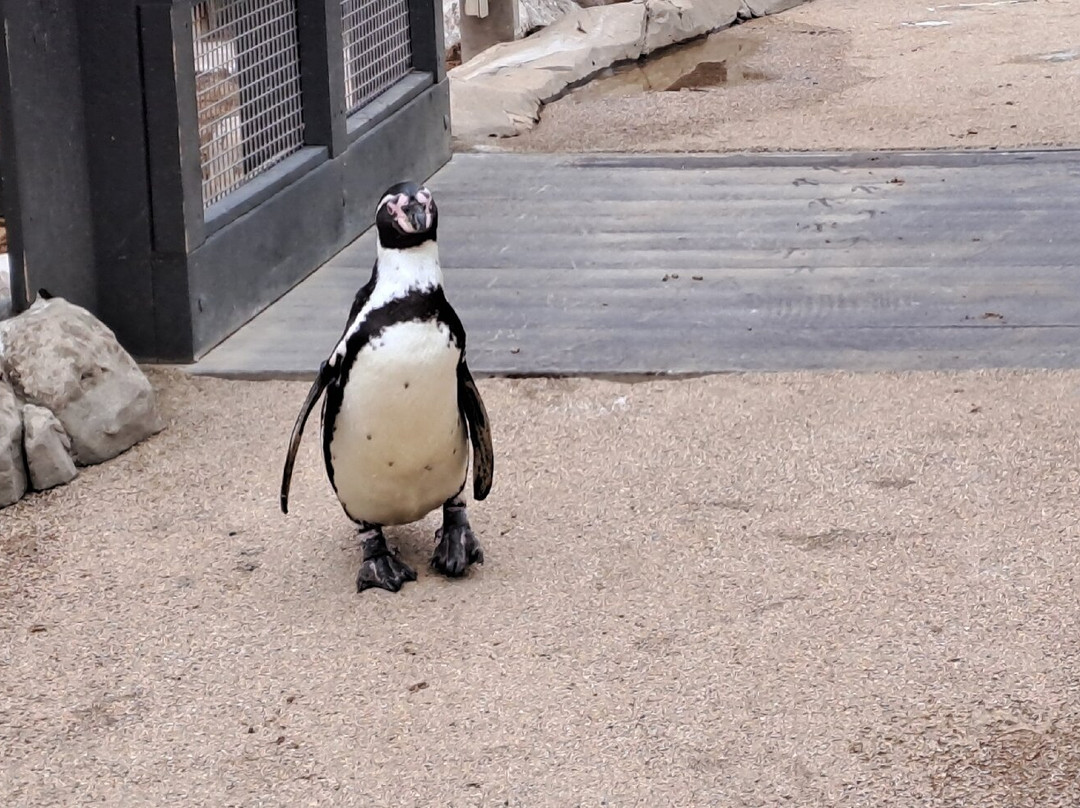 Sea Life Scarborough-斯卡伯勒必去景点