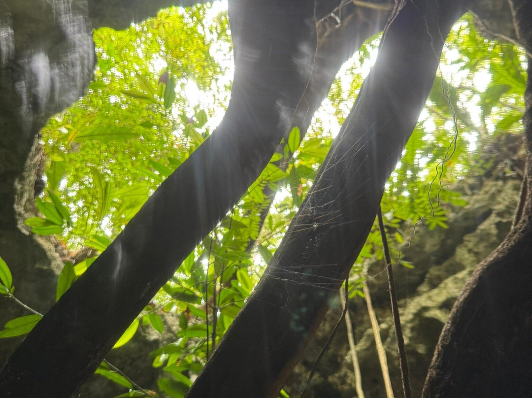 Cenotes Sac Actun-图伦必去景点