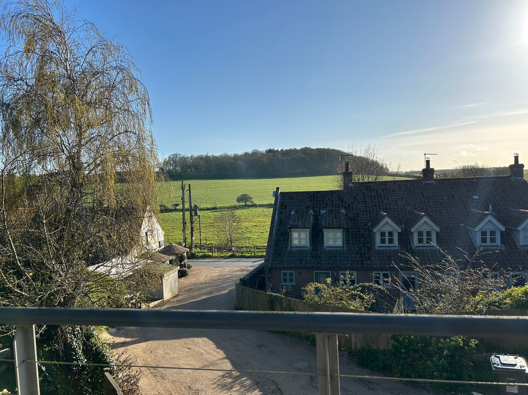 斯蒂夫基红狮主图