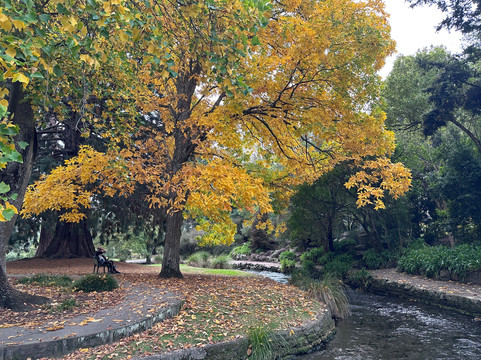波拉德公园-布伦海姆必去景点
