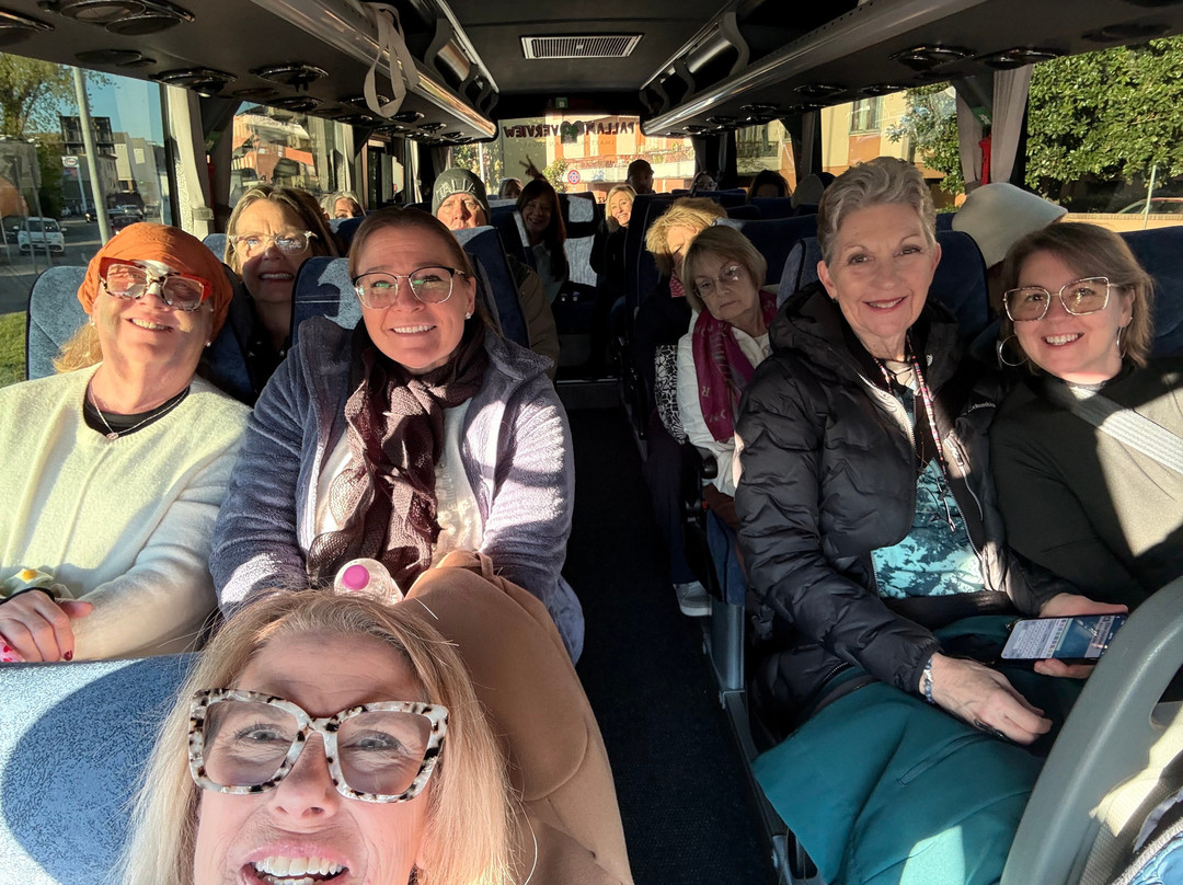 Ambrosini Autoservizi-维琴查必去景点