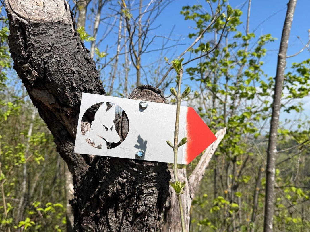 il sentiero del Lupo-Montelupo Albese必去景点