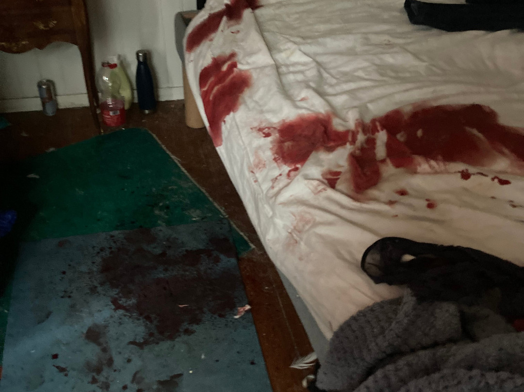 Forêt De Barbizon-巴比松必去景点