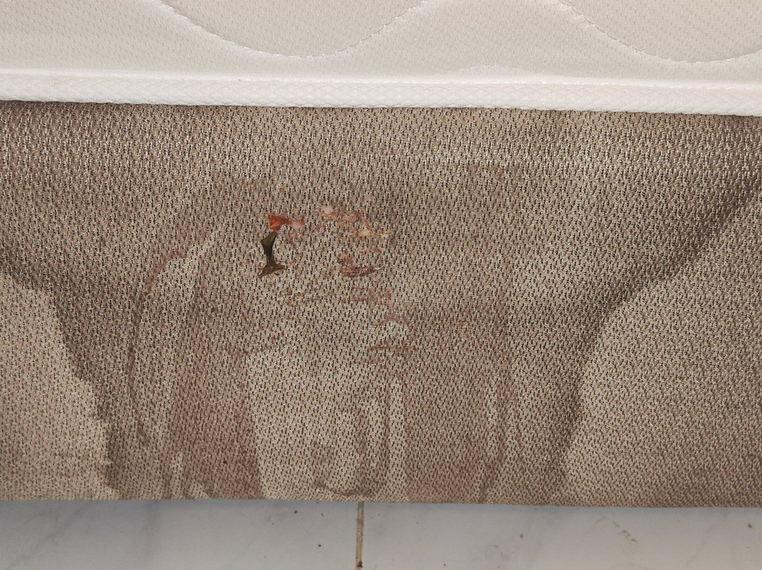 Jungle Aqua Park-赫尔格达必去景点