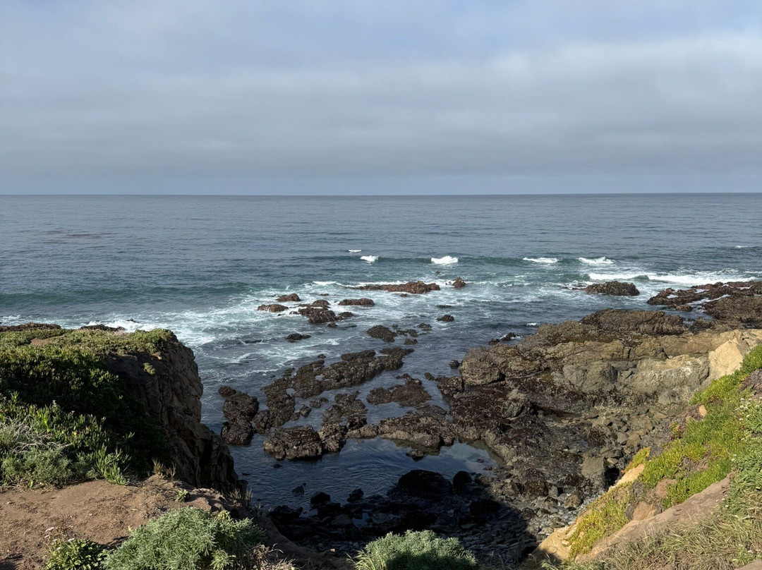 Fiscalini Ranch Preserve-坎布里亚必去景点