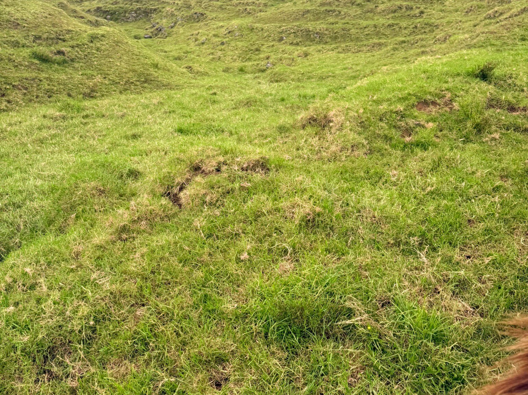 Na'alapa Stables - Kahua Ranch-卡慕也拉必去景点