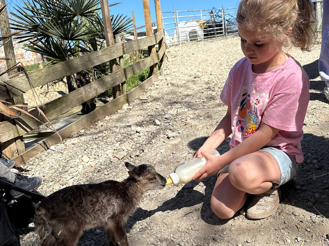 La Ferme Du Facteur Enchantée-Hauterives必去景点