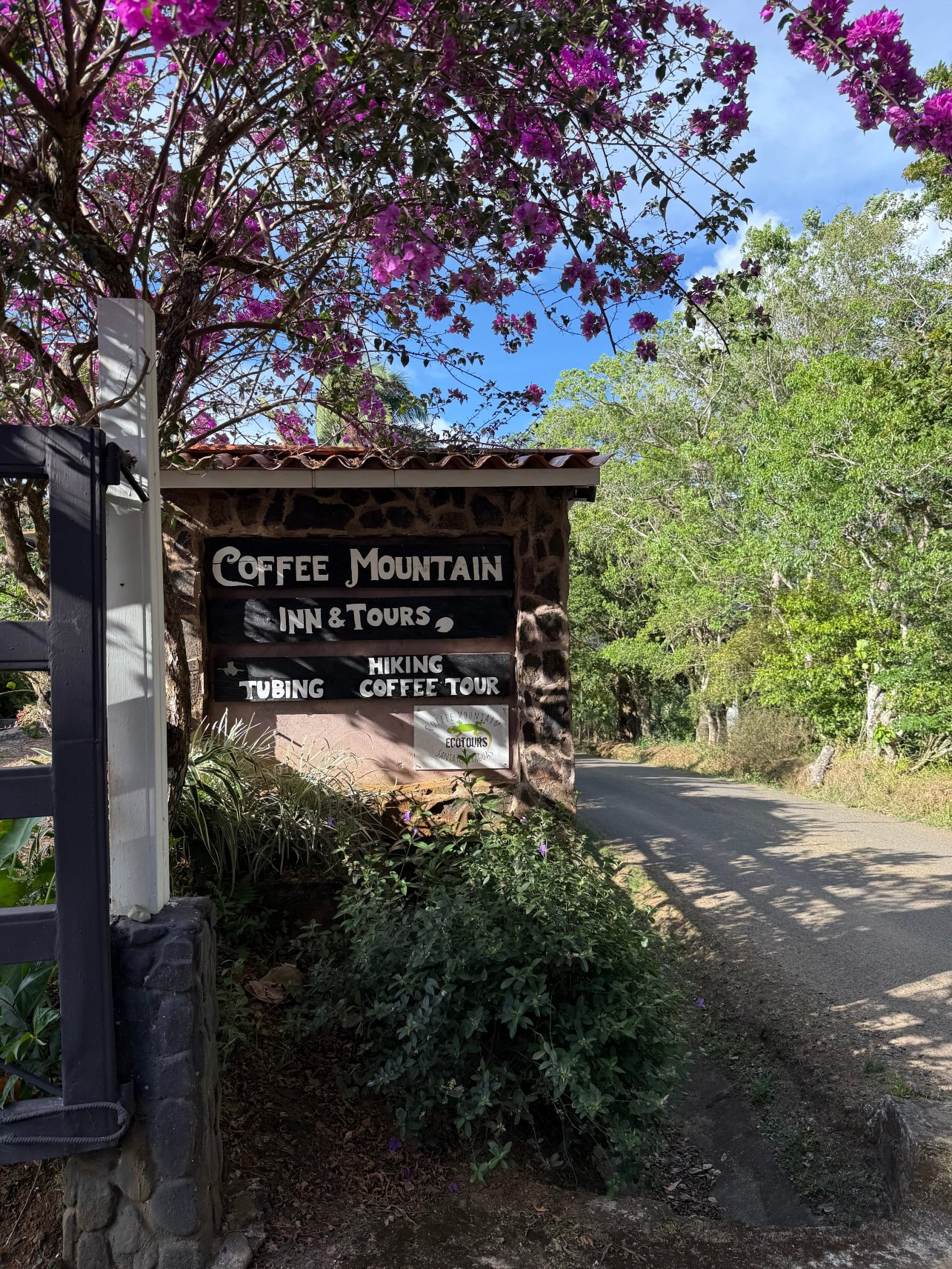 咖啡山住宿加早餐旅馆-度假村/酒店