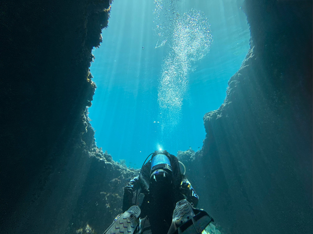 Bubbles Dive Centre-Marsalforn必去景点