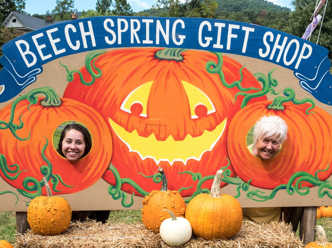 Beech Spring Gift Shop, LLC-Sperryville必去景点