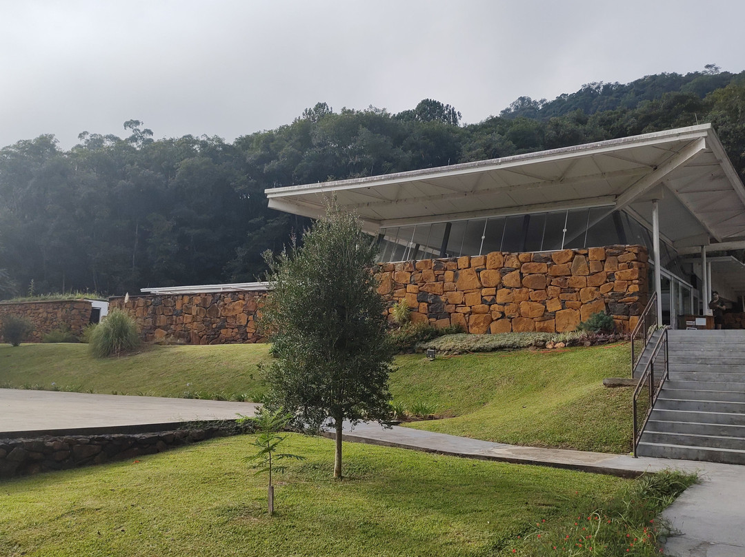 Parque Municipal Teixeira Soares-Marcelino Ramos必去景点