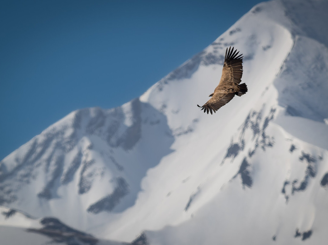 Hadrien Brasseur-Arrens-Marsous必去景点