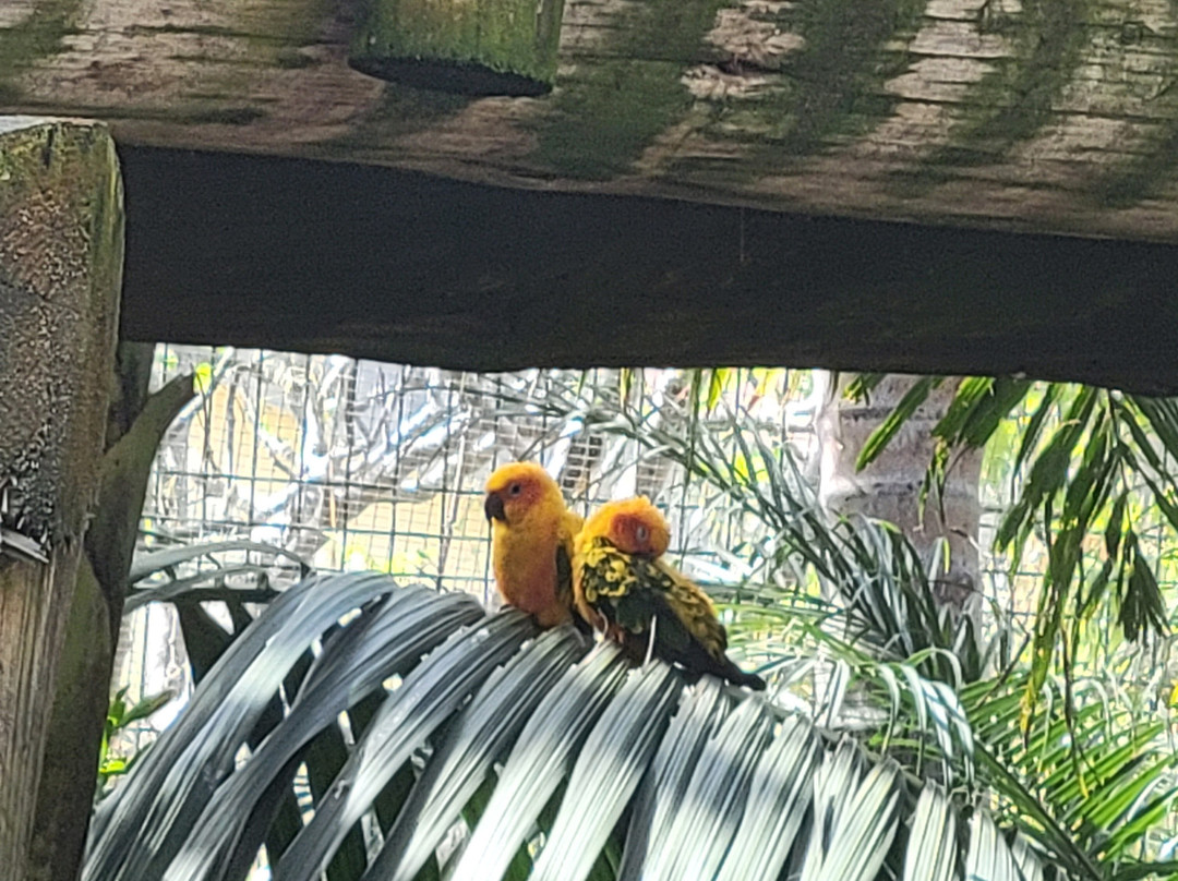 Ilha das Aves-Campanario必去景点
