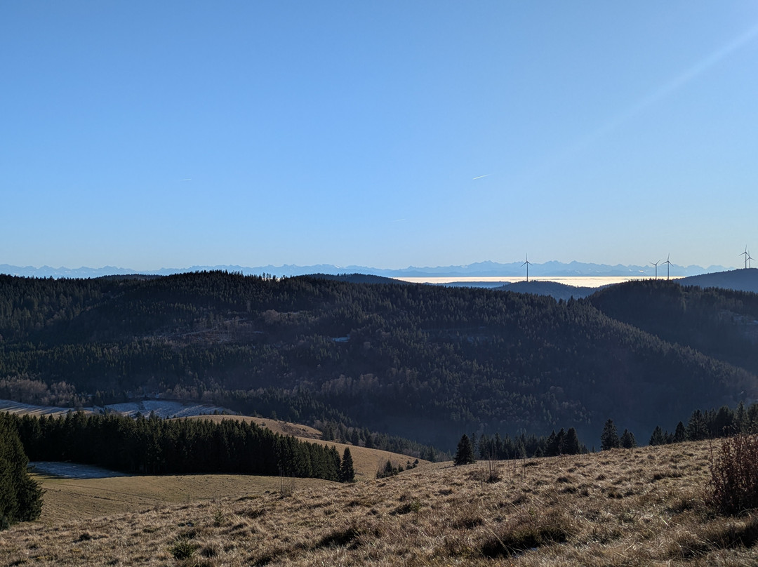 DerWaldfrieden Naturparkhotel主图