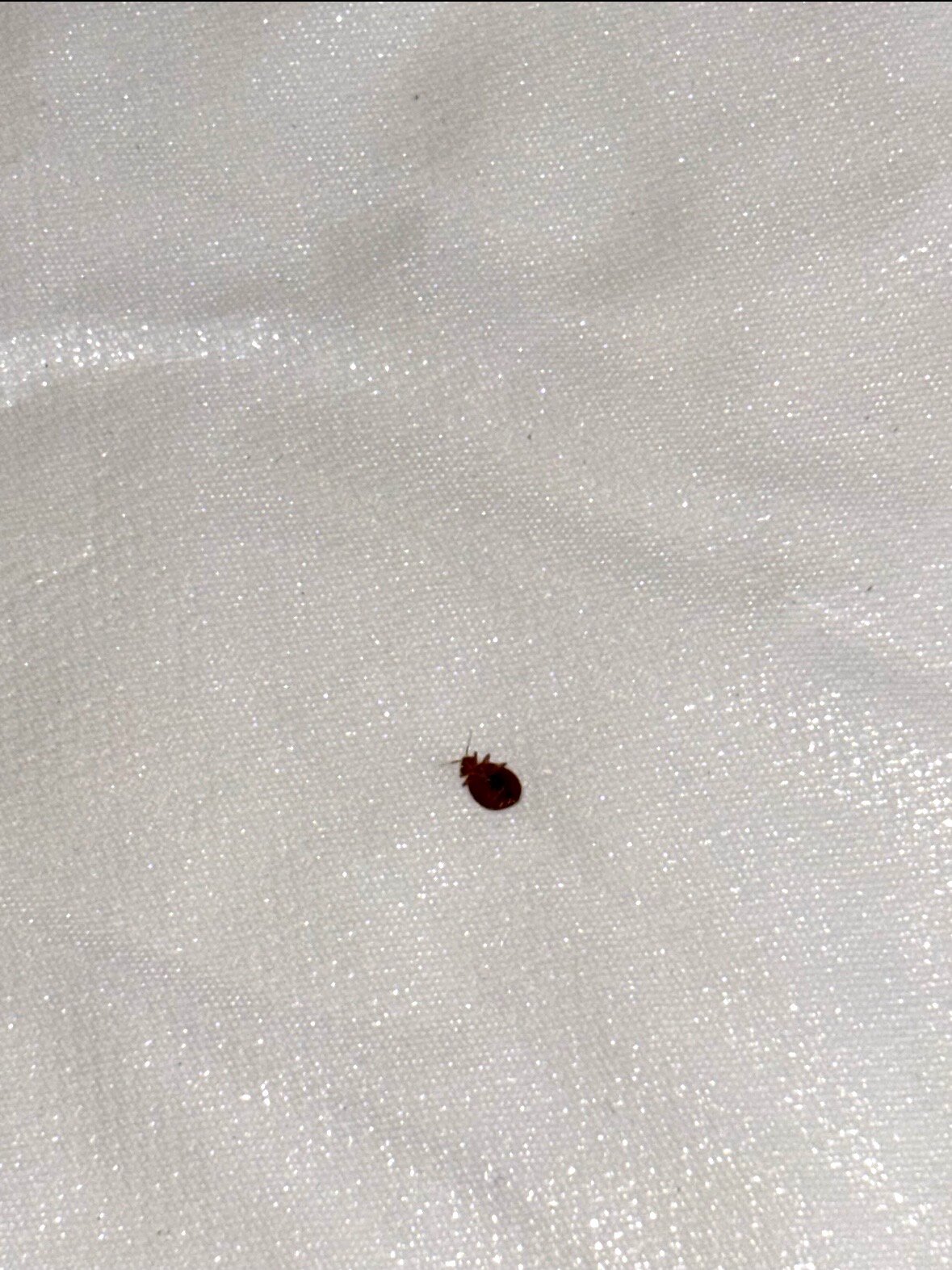 泰特斯维尔旅馆-旅行者