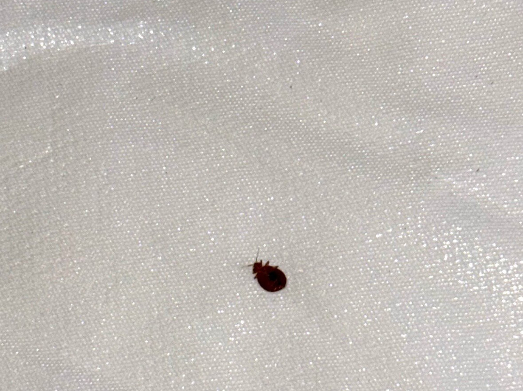 泰特斯维尔旅馆主图