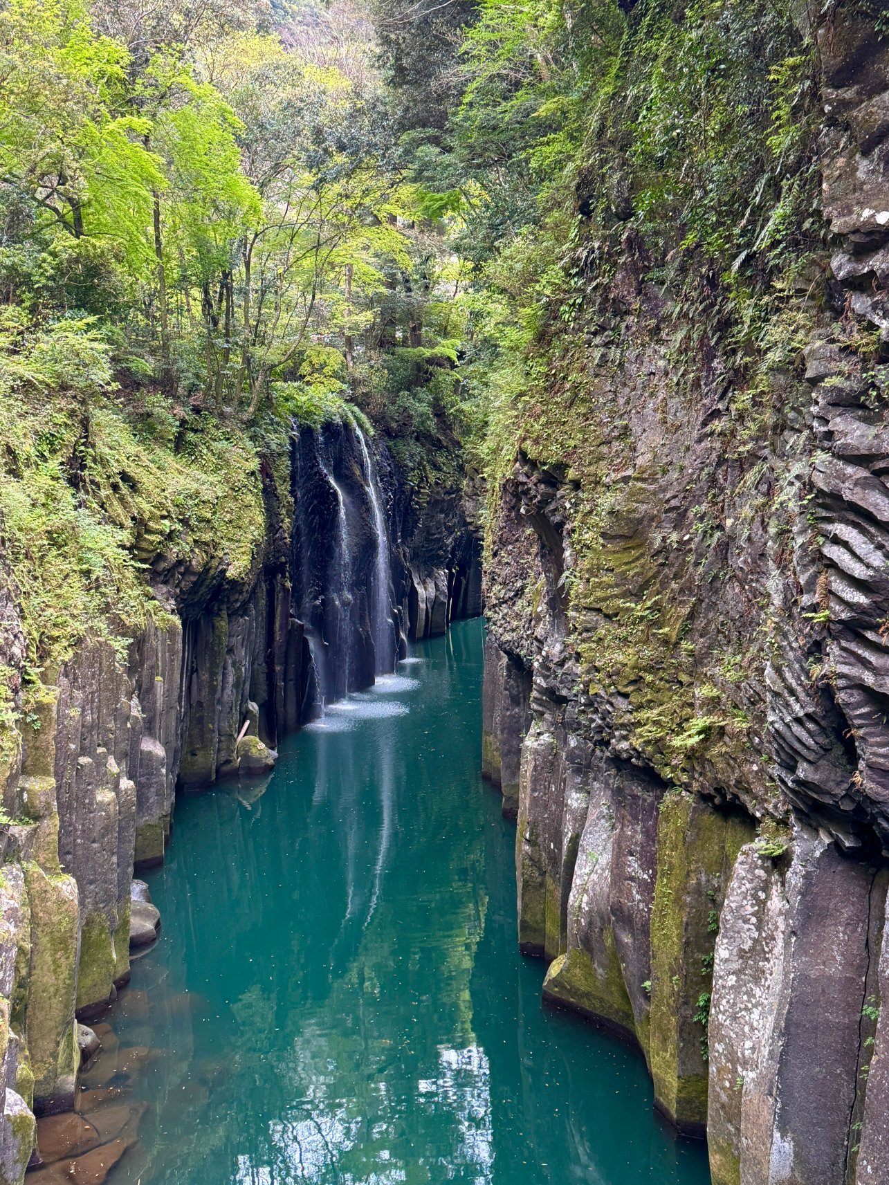 神仙旅馆-旅行者