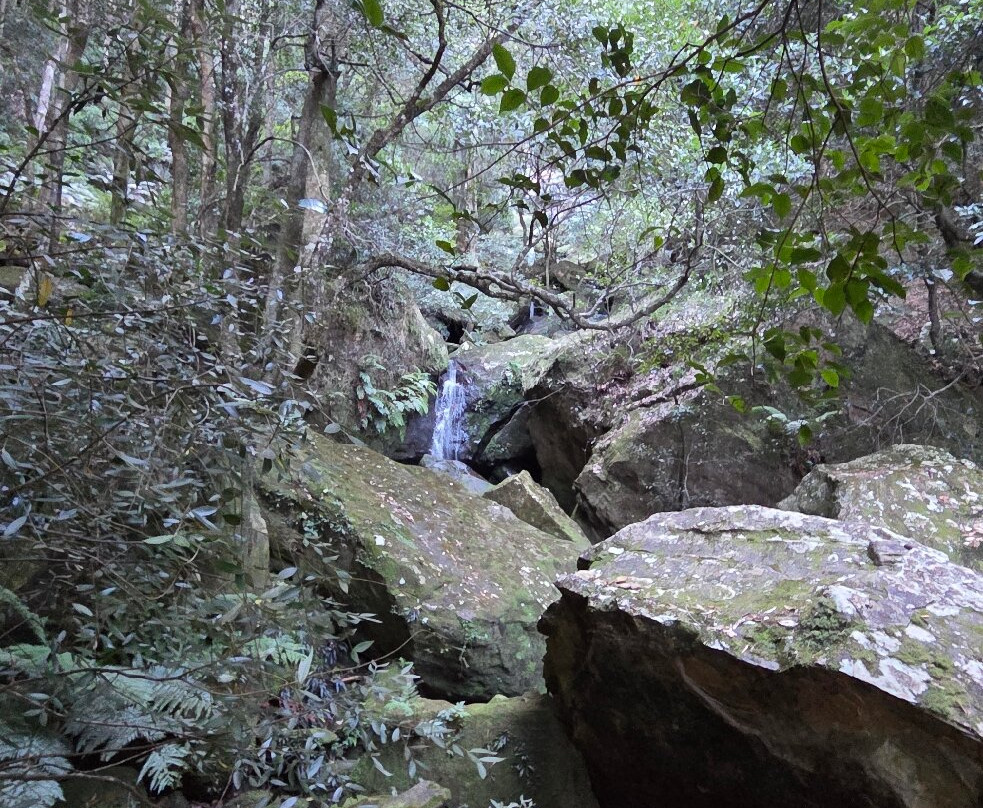 The Giant Stairway-卡通巴必去景点