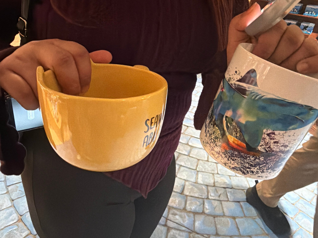 SeaWorld Yas Island Abu Dhabi-阿布扎比必去景点