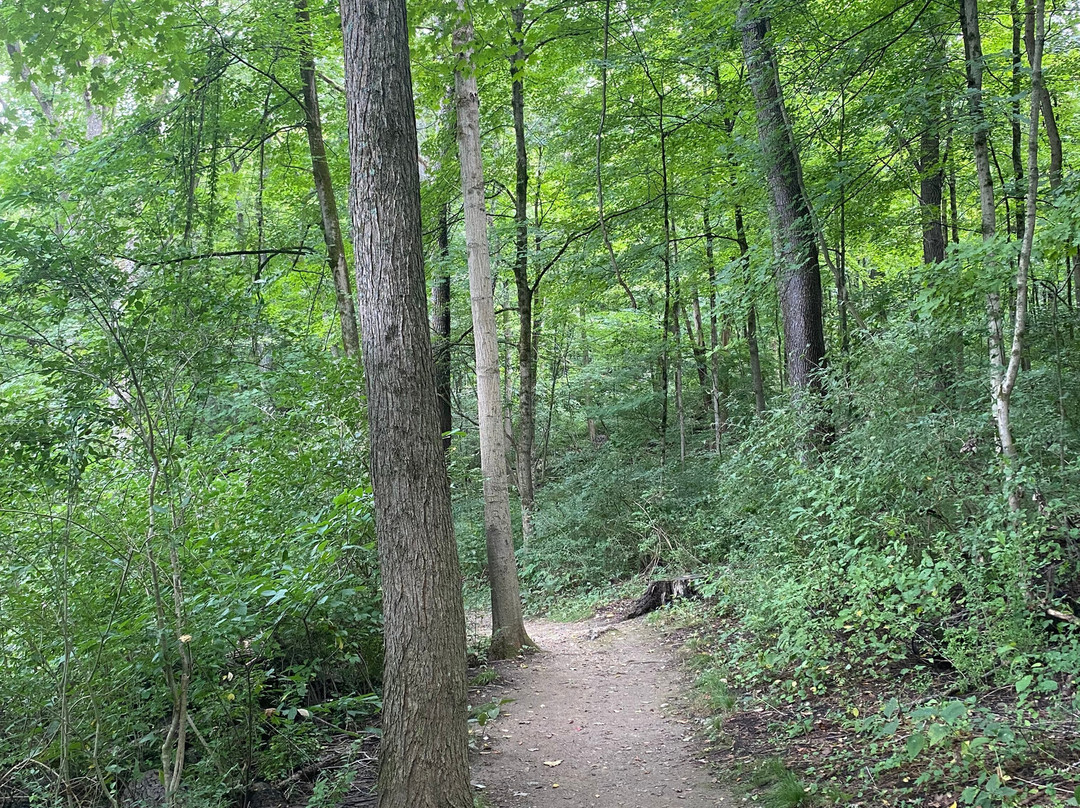 F.A. Seiberling Nature Realm-阿克伦必去景点