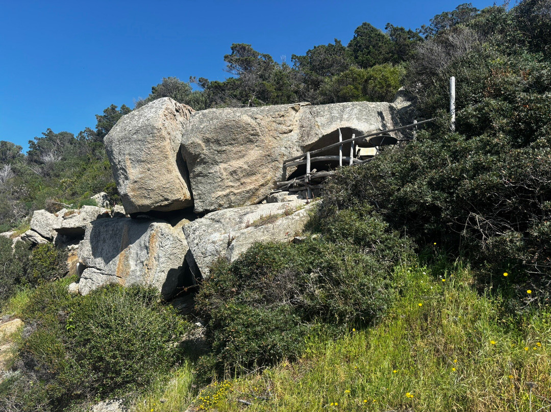 Clos Du Mouflon