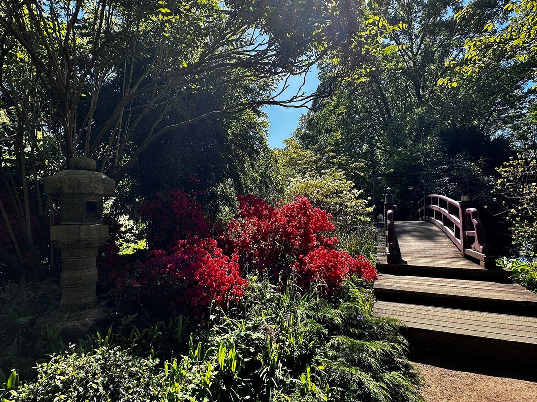 Japanese Garden Leverkusen-勒沃库森必去景点