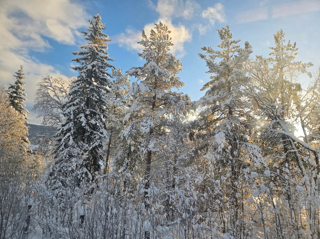Norway in a nutshell®-卑尔根必去景点