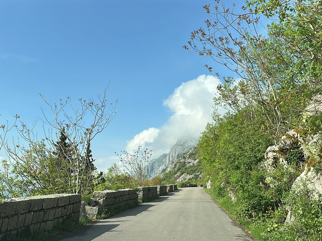 Kotor Serpentine