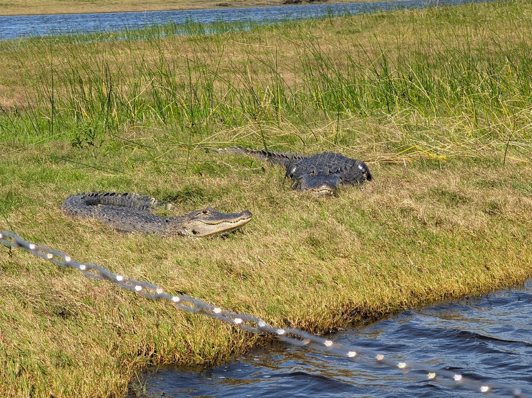 AirBoat Rides at Midway-Christmas必去景点
