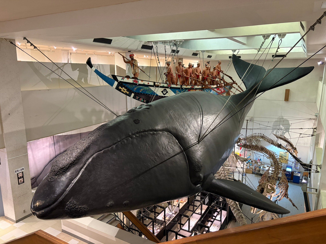 Taiji Whale Museum-太地町必去景点