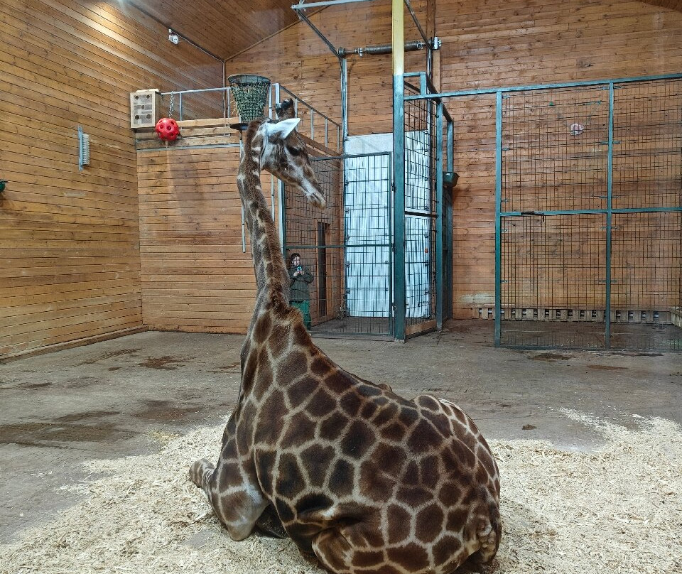 Limpopo Zoo-下诺夫哥罗德必去景点