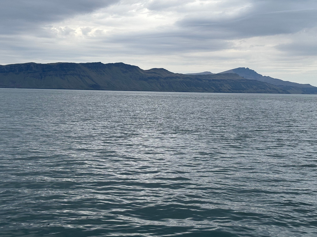 Stardust Boat Trips Portree-Portree必去景点