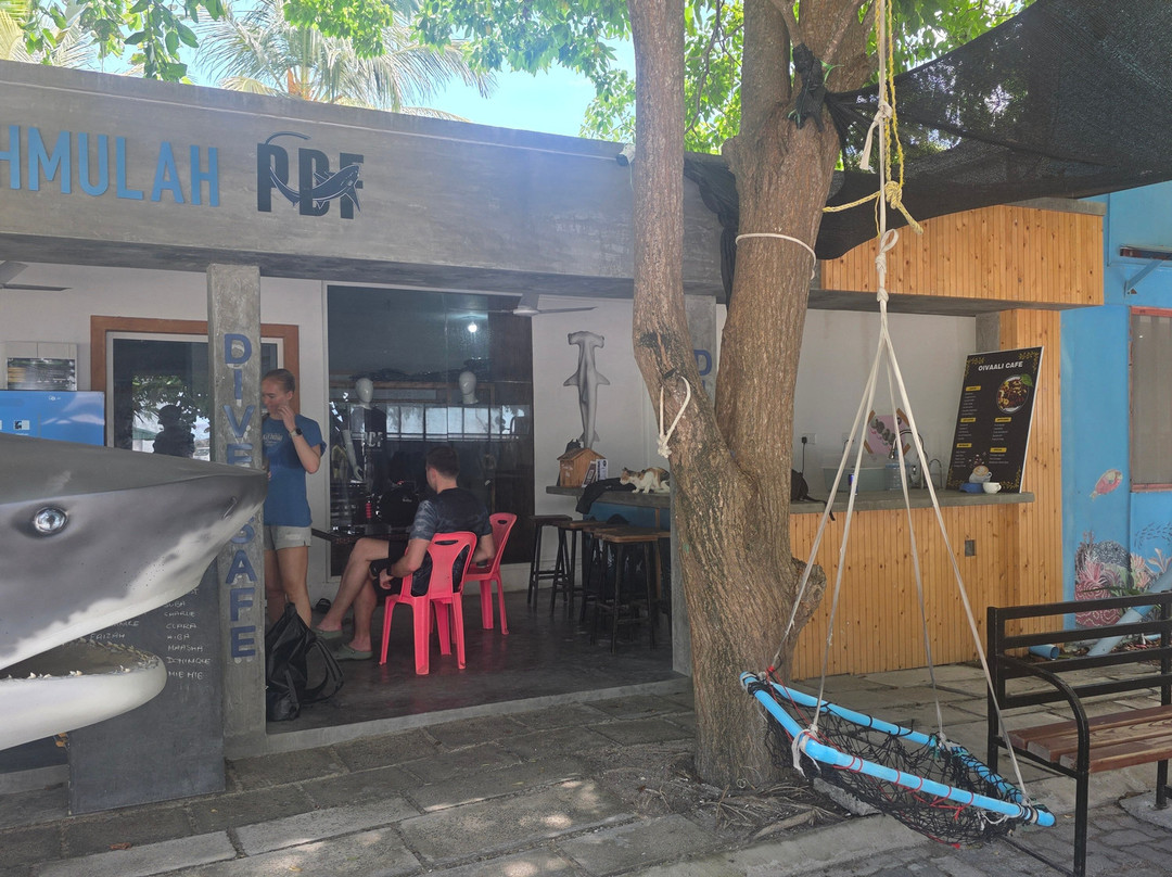 Pelagic Divers Fuvahmulah-Fuvahmulah必去景点