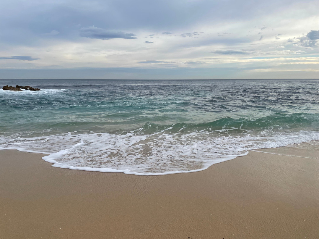 Koonya Beach-Blairgowrie必去景点
