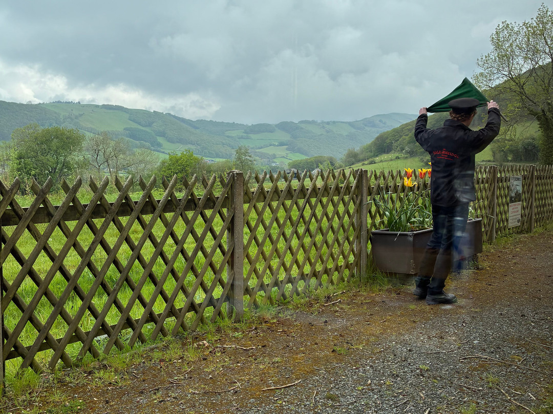 Vale of Rheidol Railway-阿伯里斯特威斯必去景点