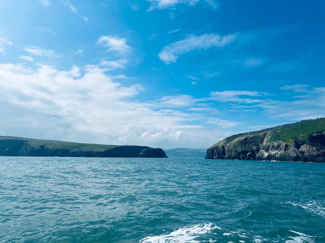 A Bay To Remember Wildlife Boat Trips-St. Dogmaels必去景点