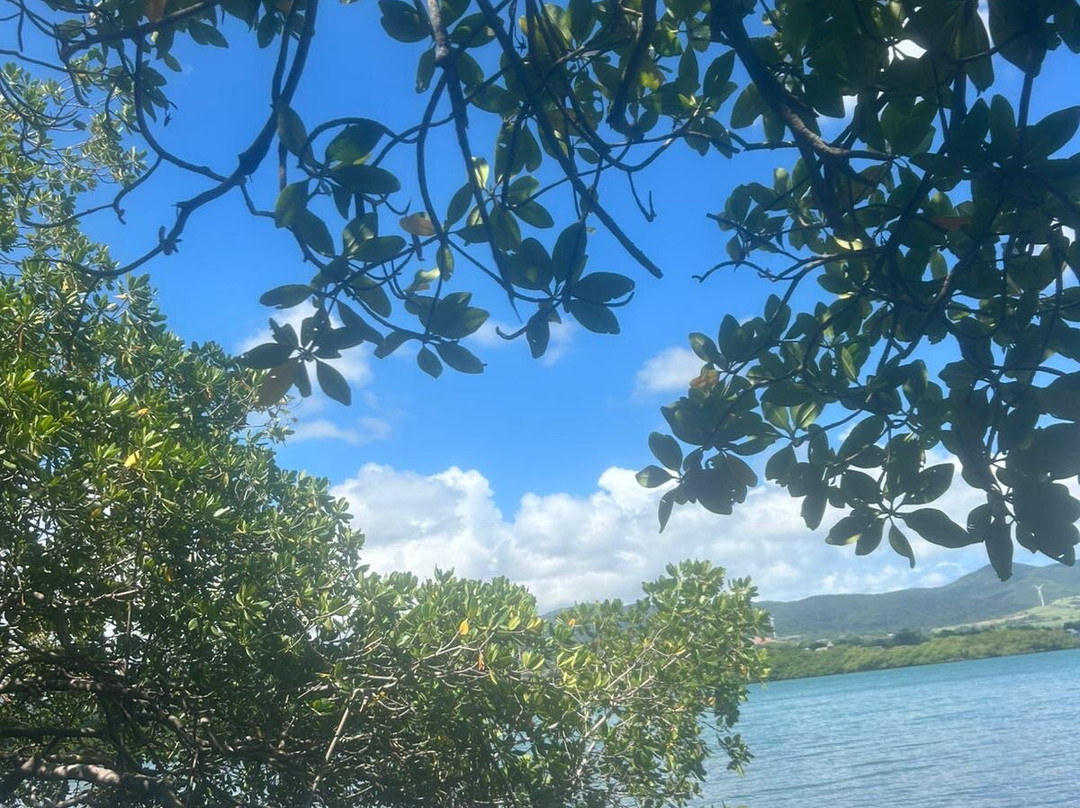 Mar'eau Kayak-Sainte Rose必去景点