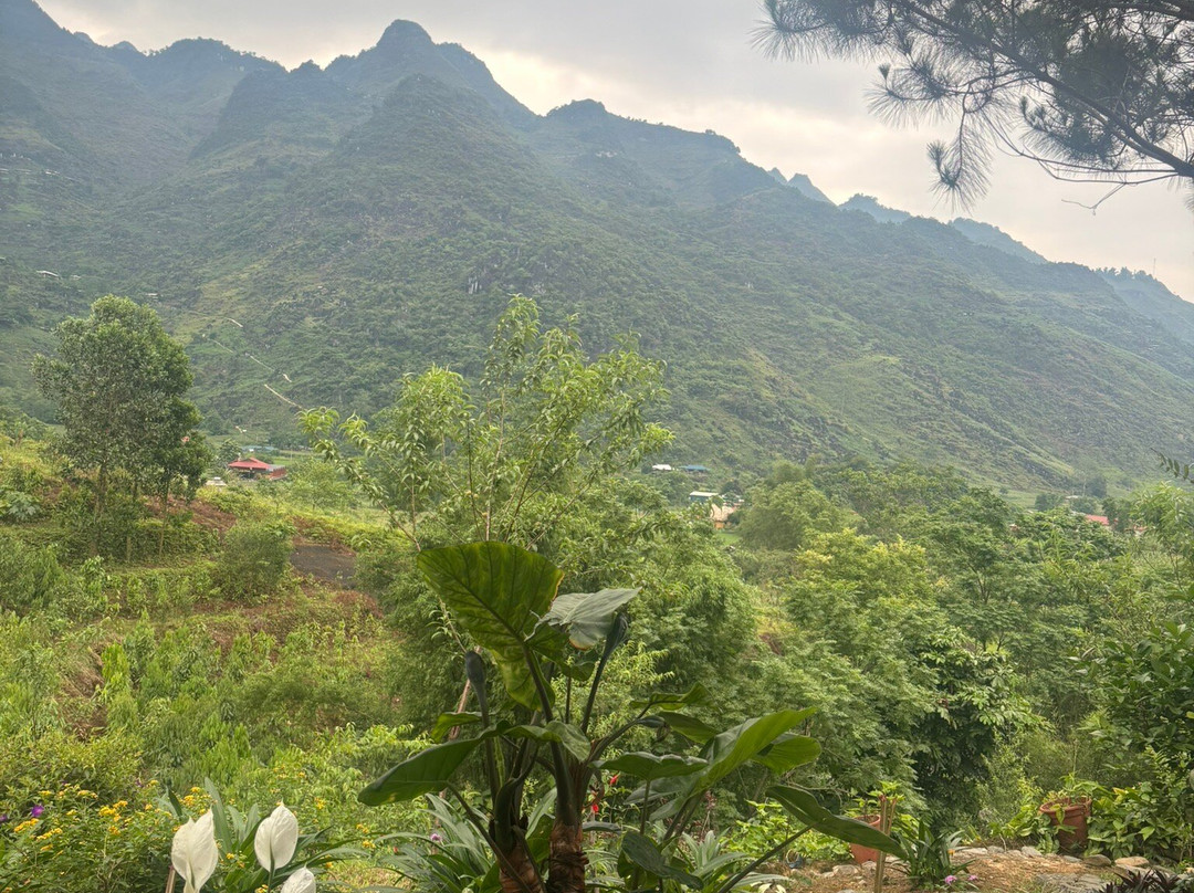 Ha Giang Adventure-Ha Giang必去景点